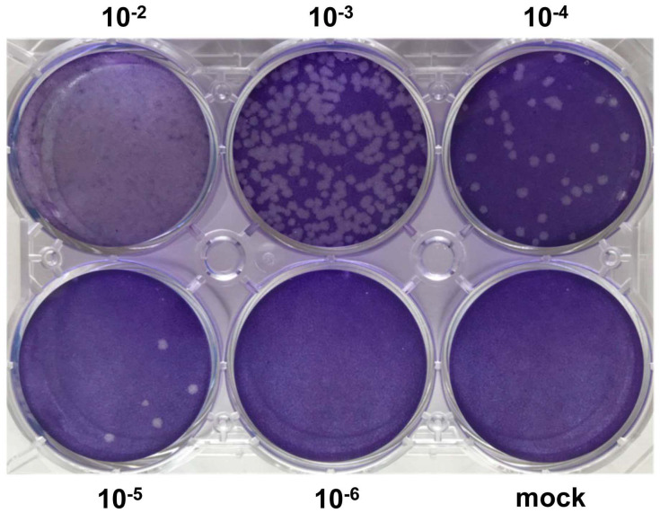 Figure 2.