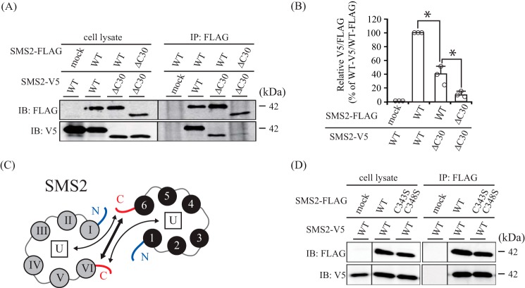 FIGURE 7.