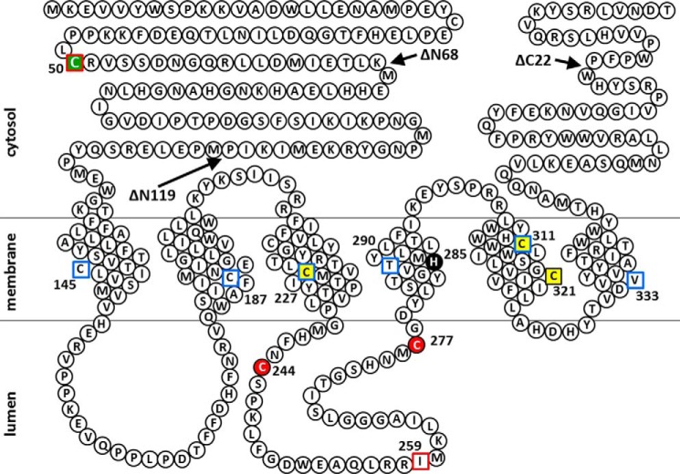 FIGURE 12.