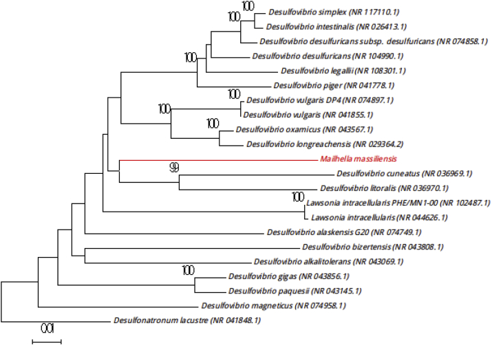 Fig. 6