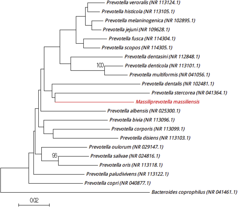 Fig. 7