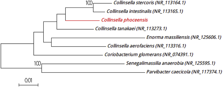 Fig. 1