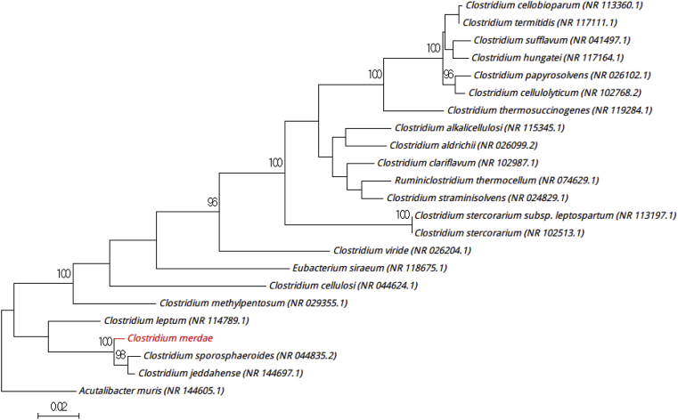 Fig. 2