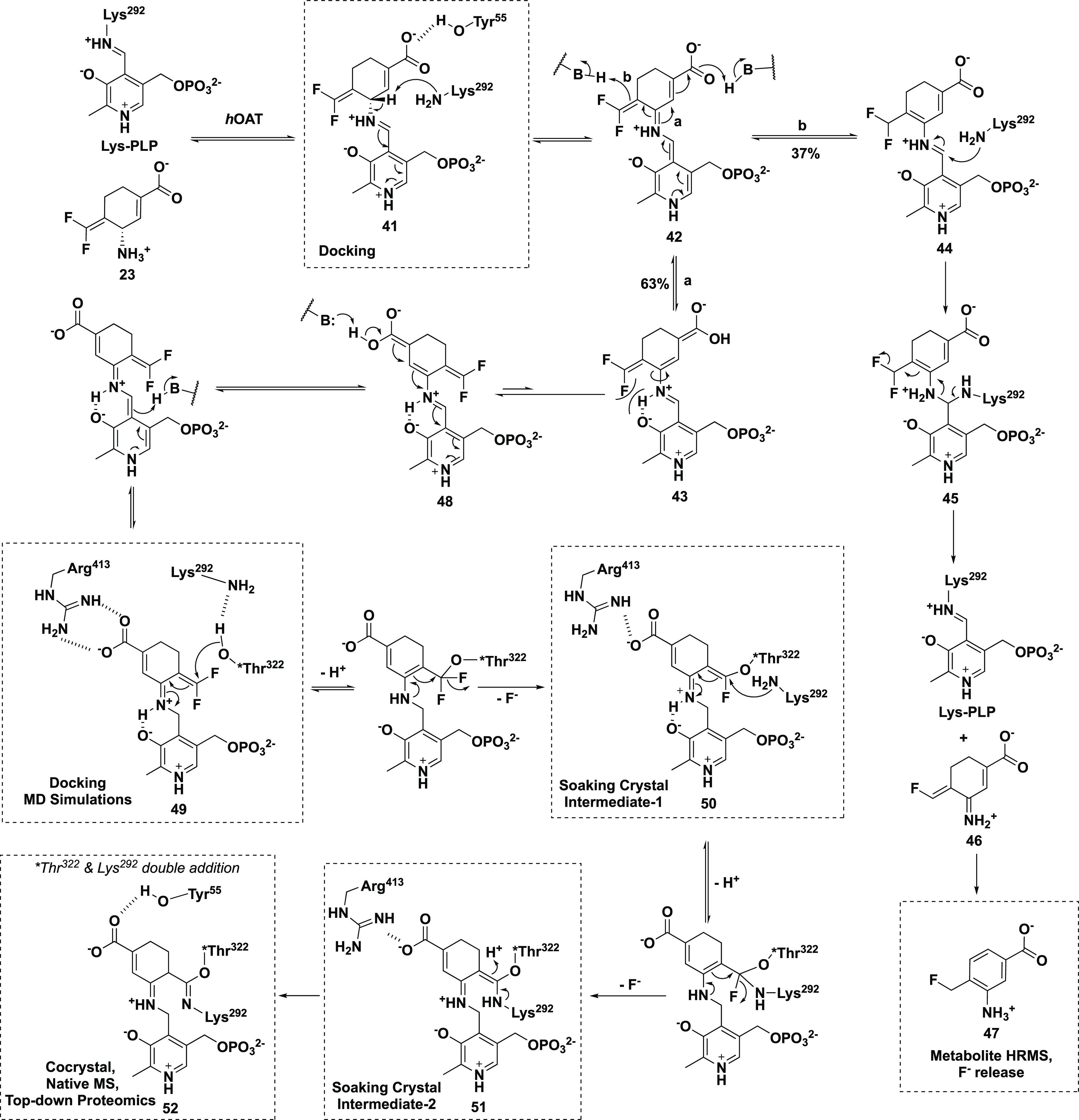 Scheme 6