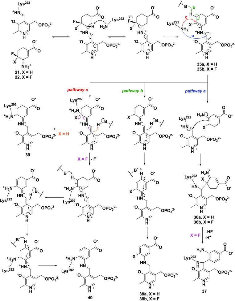 Scheme 5