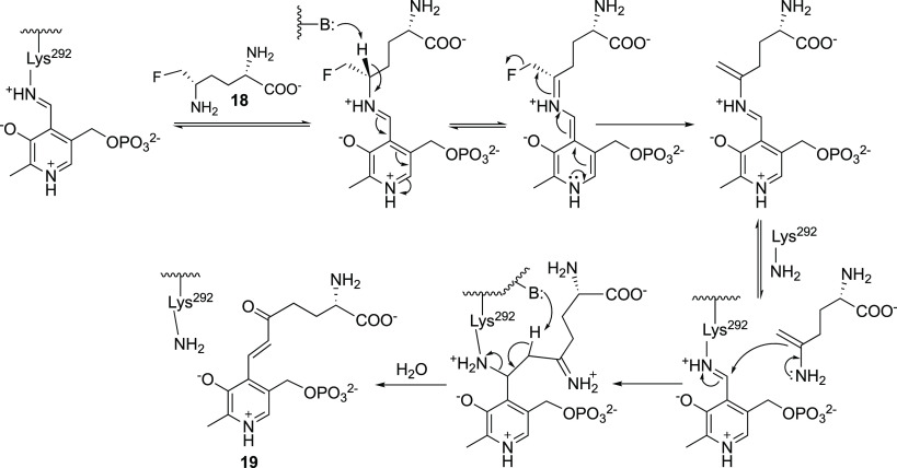 Scheme 3