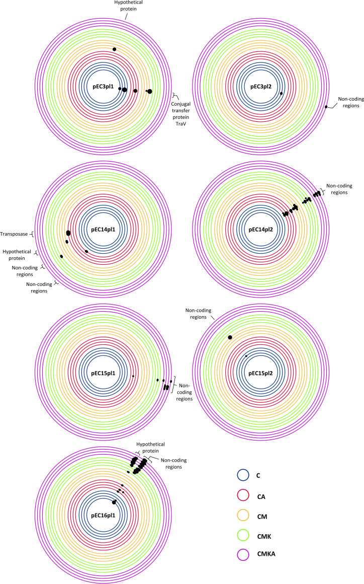 FIG 5