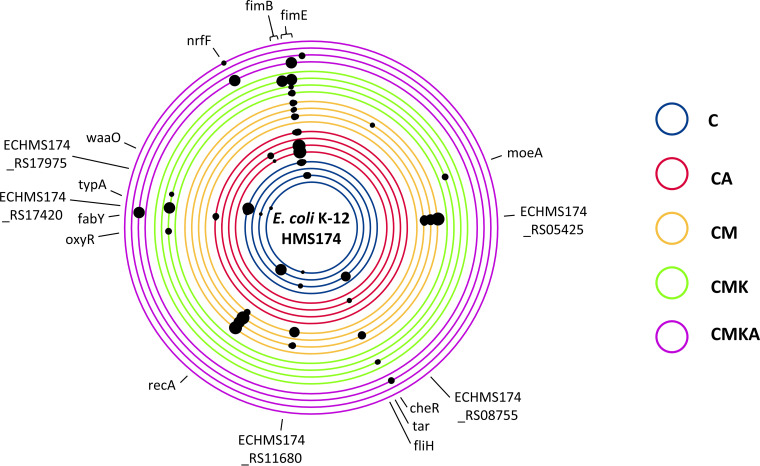 FIG 6