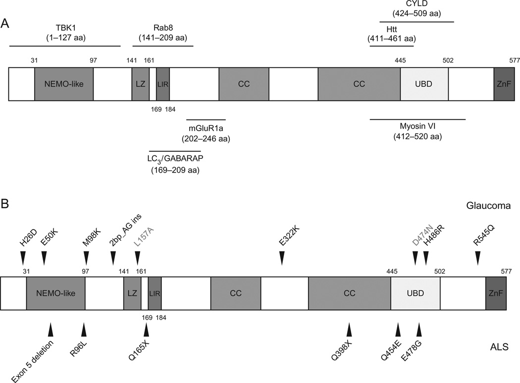 Figure 5.3