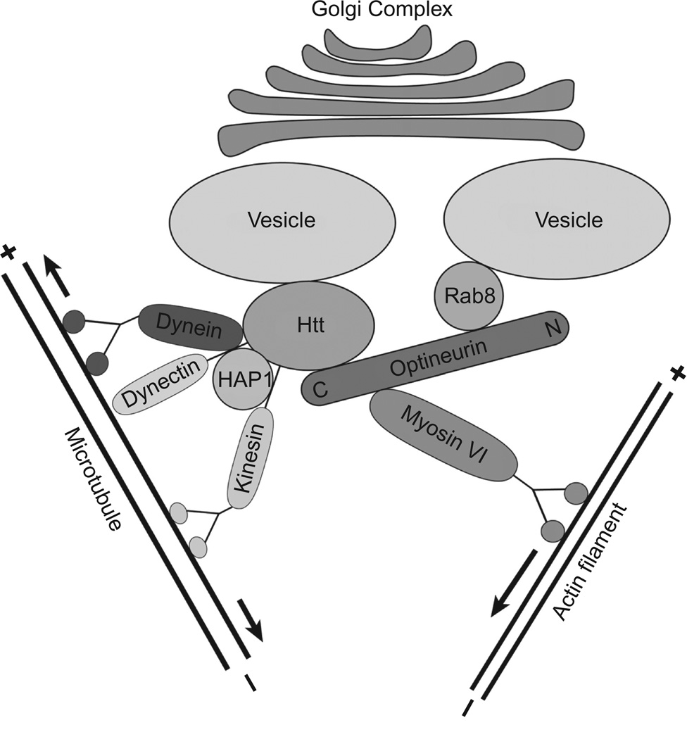 Figure 5.4