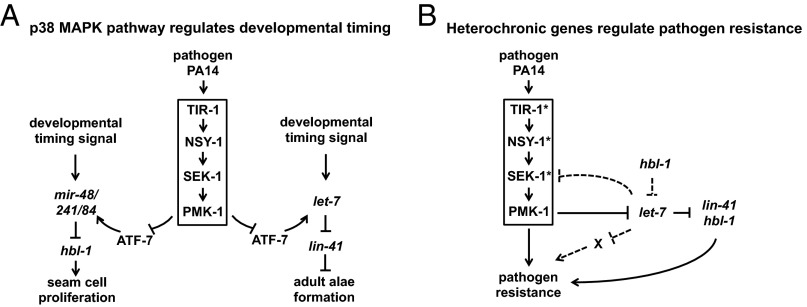 Fig. 8.