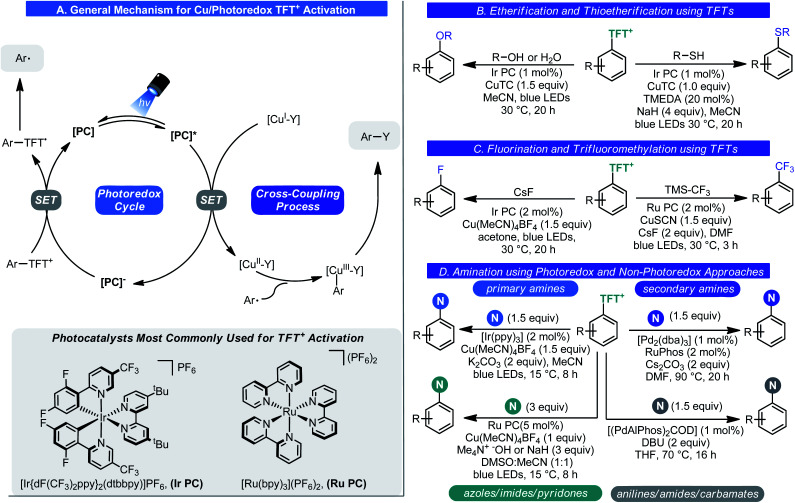 Scheme 14