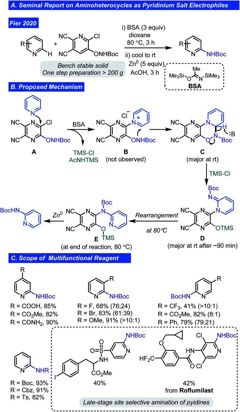 Scheme 6