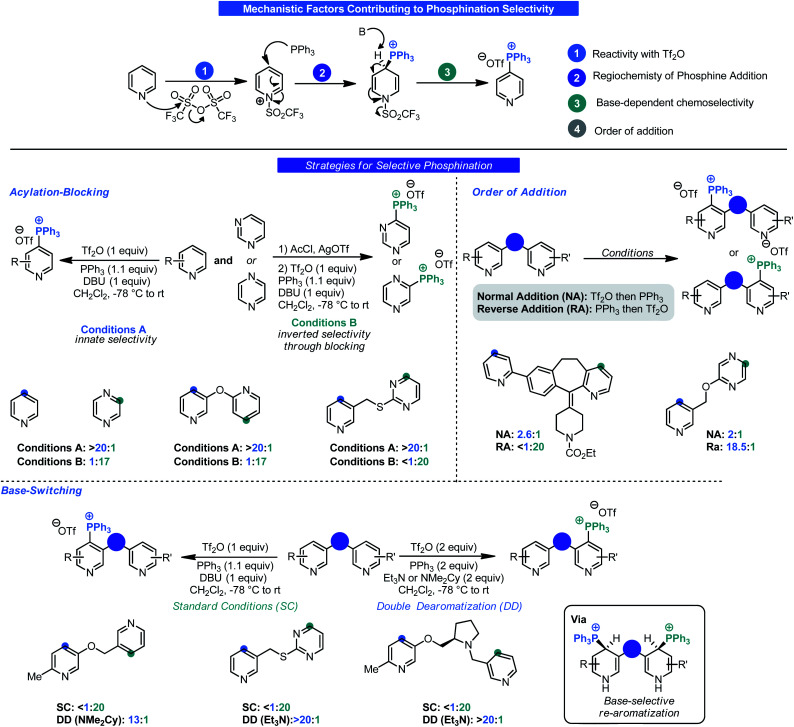 Scheme 9