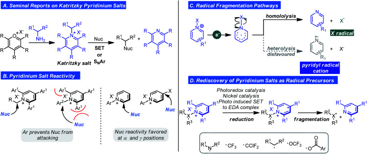 Scheme 3