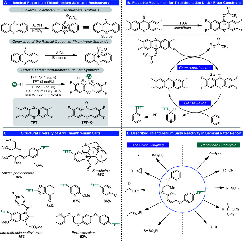 Scheme 13