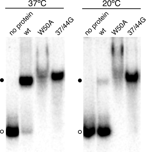 FIG. 5.