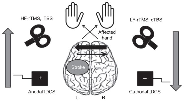 Fig. 40.1