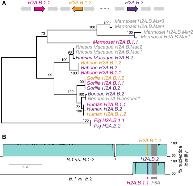 Figure 4.