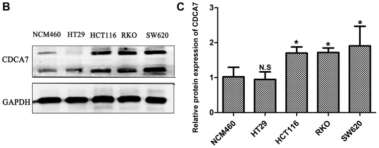 Figure 6.