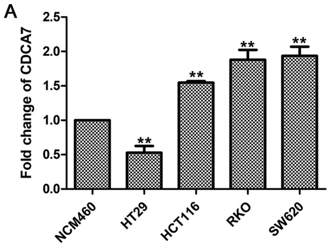 Figure 6.