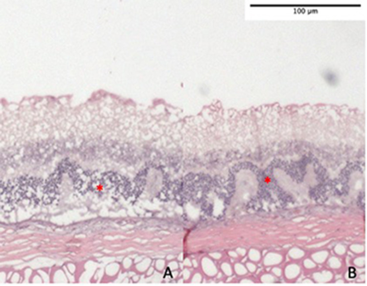 Fig. 8