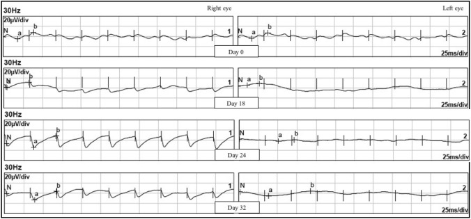 Fig. 4