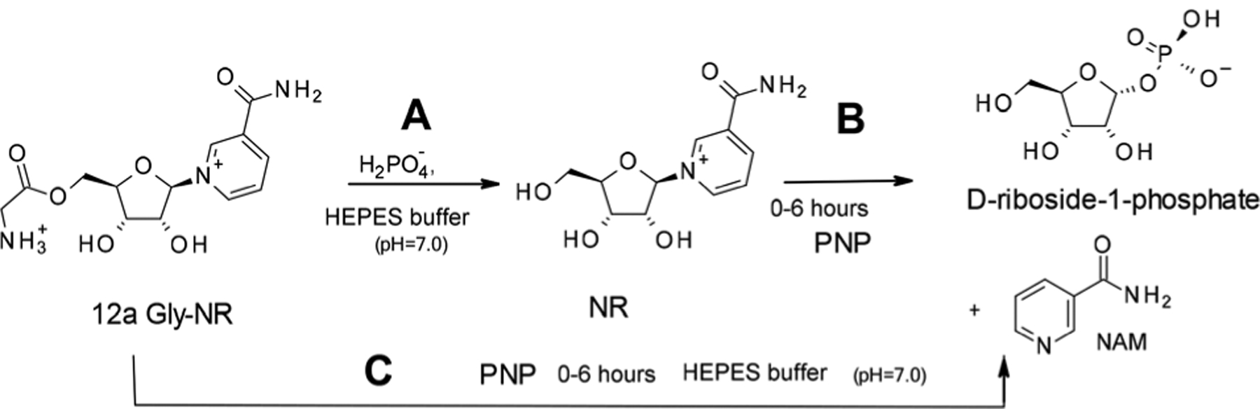 Scheme 4