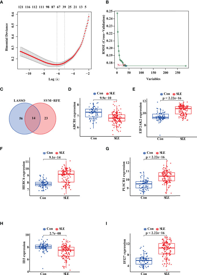 Figure 2