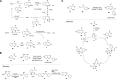 SCHEME 12
