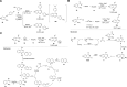 SCHEME 13