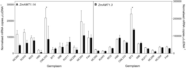 Figure 10