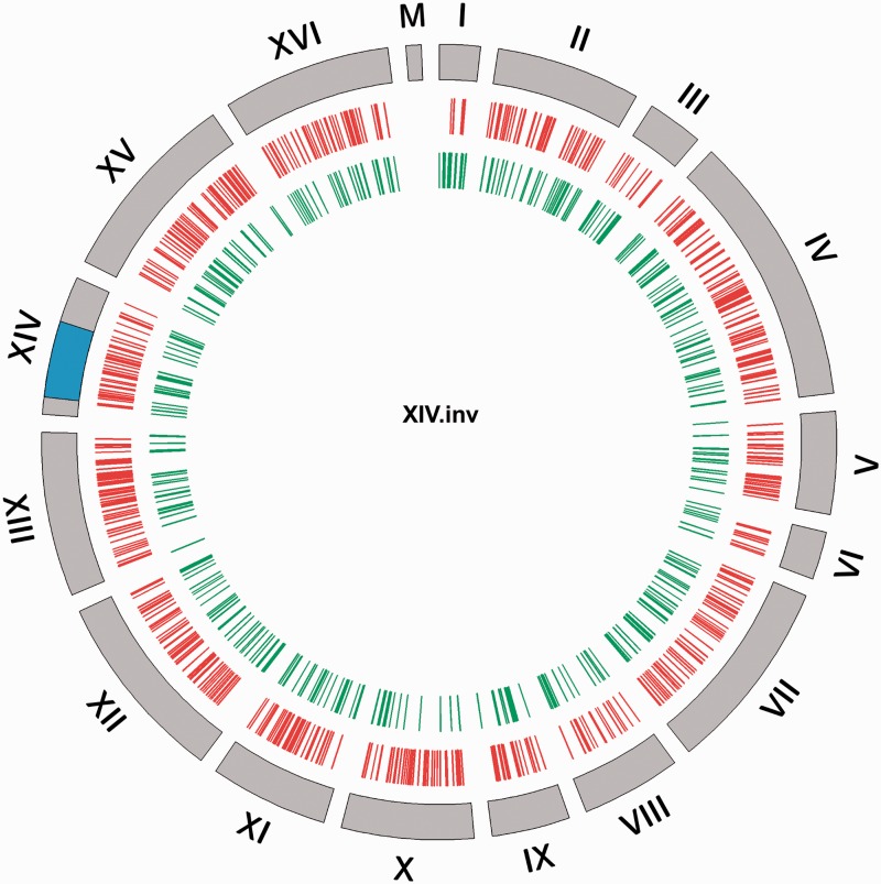 Fig. 7.