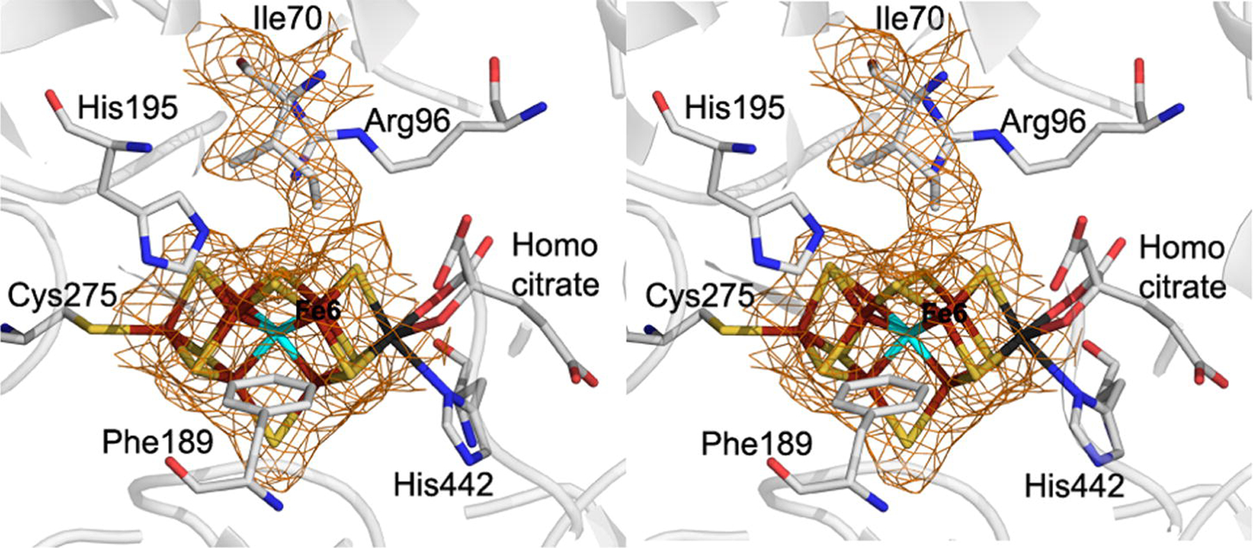 Figure 2: