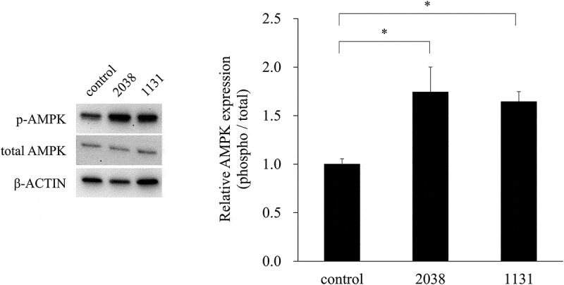 Figure 5.