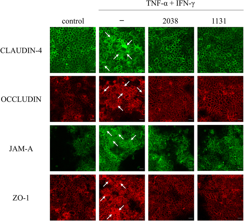 Figure 3.