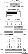 FIG. 9.