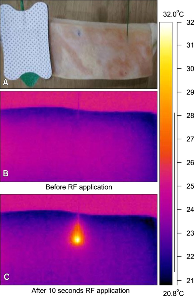 Fig. 3