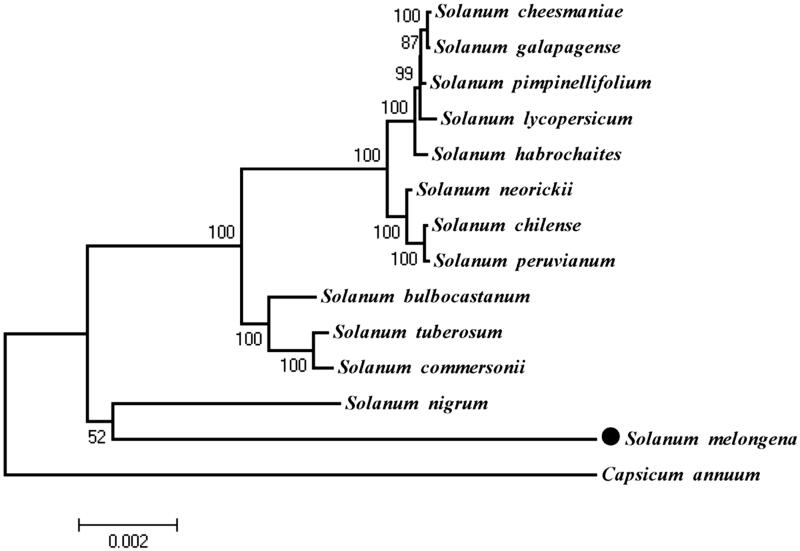 Figure 1.