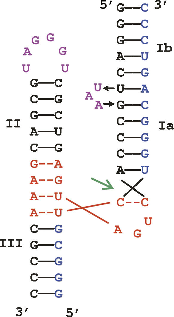 FIGURE 1.