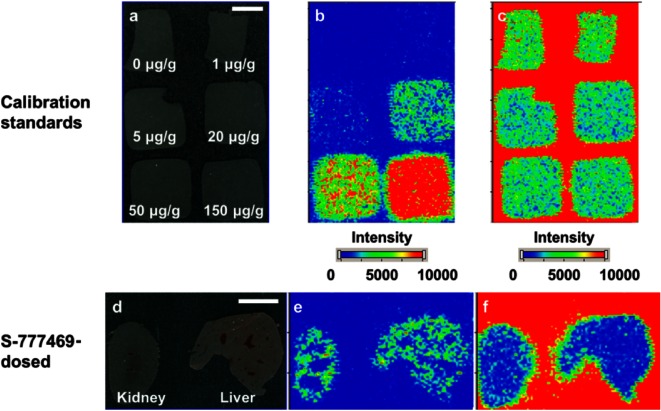 Fig. 3. Representative optical images (a and d) and ion images of m/z 415→369 (b and e) and m/z 425→379 (c and f) on the sections of the calibration standards (a–c) or the kidney and liver (d–f). Bar=5 mm.