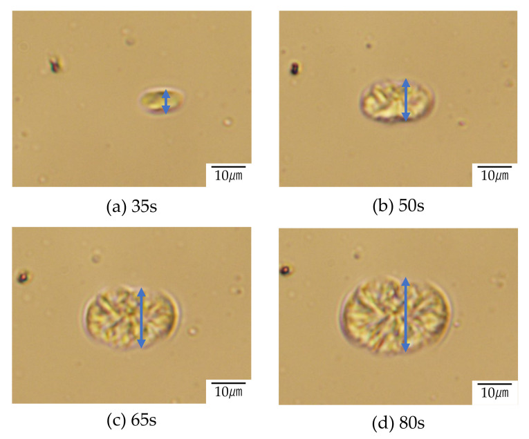 Figure 10