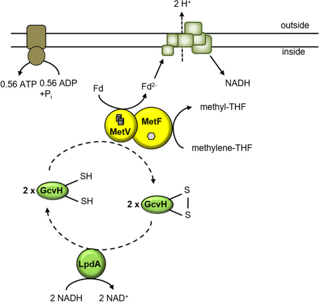 Fig. 6