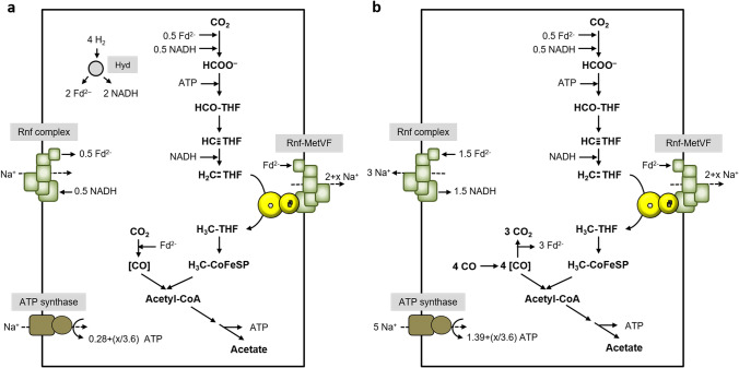 Fig. 10