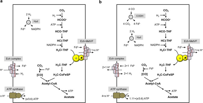 Fig. 8