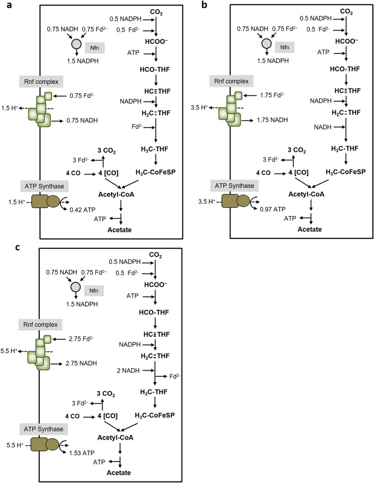 Fig. 4