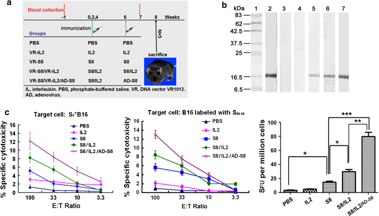 Fig. 4