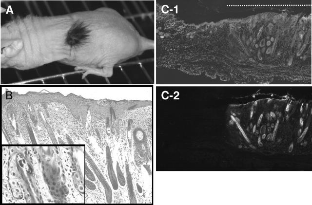 Figure 2.