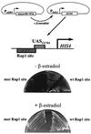 FIG. 5