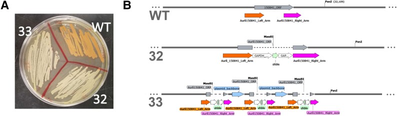 Fig. 2.